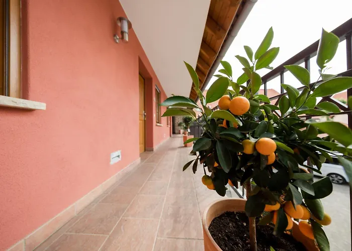 Hofgut Metzler Gau-Heppenheim